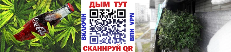 где продают наркотики  shop какой сайт  Печенье с ТГК марихуана  Хасавюрт  KRAKEN ССЫЛКА 