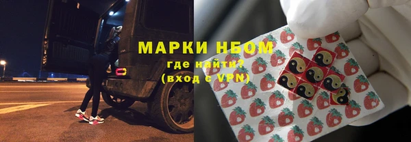 прущие грибы Алзамай