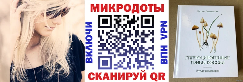 Галлюциногенные грибы мицелий  закладки  Хасавюрт 