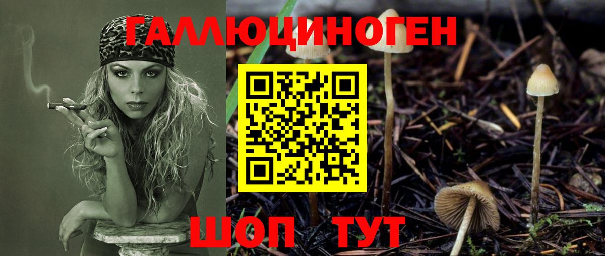 Галлюциногенные грибы Cubensis  купить   Вход с VPN  Хасавюрт  Галлюциногенные грибы Psilocybine cubensis 
