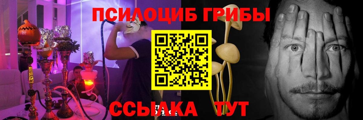 Галлюциногенные грибы мицелий Хасавюрт
